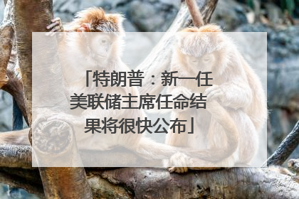特朗普：新一任美联储主席任命结果将很快公布