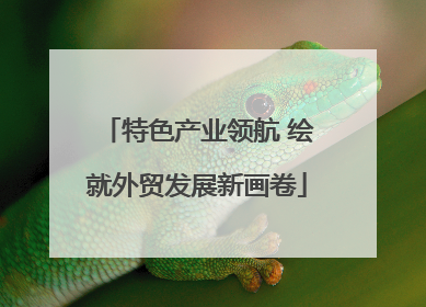 特色产业领航 绘就外贸发展新画卷