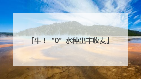牛！“0”水种出丰收麦