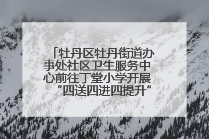 牡丹区牡丹街道办事处社区卫生服务中心前往丁堂小学开展“四送四进四提升”及无烟日宣传活动