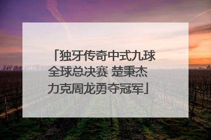 独牙传奇中式九球全球总决赛 楚秉杰力克周龙勇夺冠军