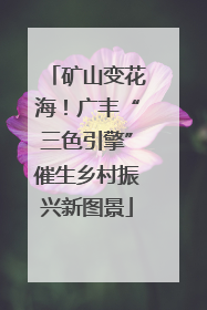 矿山变花海！广丰“三色引擎”催生乡村振兴新图景