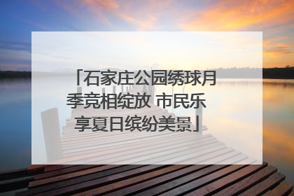 石家庄公园绣球月季竞相绽放 市民乐享夏日缤纷美景