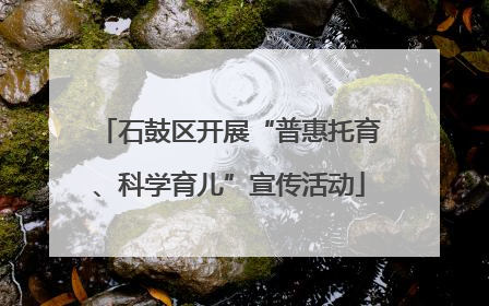 石鼓区开展“普惠托育、科学育儿”宣传活动