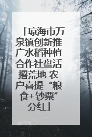 琼海市万泉镇创新推广水稻种植合作社盘活撂荒地 农户喜提“粮食+钞票”分红
