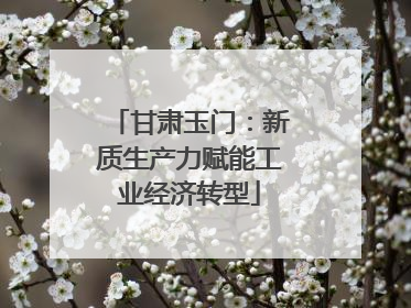 甘肃玉门：新质生产力赋能工业经济转型