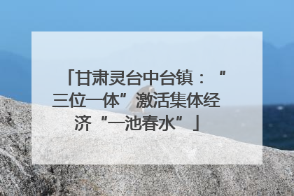 甘肃灵台中台镇：“三位一体”激活集体经济“一池春水”