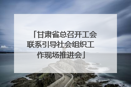 甘肃省总召开工会联系引导社会组织工作现场推进会