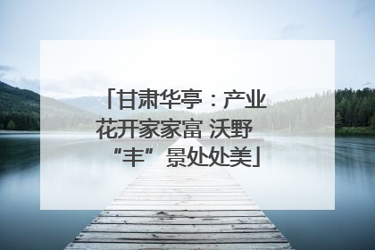 甘肃华亭：产业花开家家富 沃野“丰”景处处美