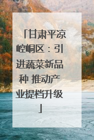 甘肃平凉崆峒区：引进蔬菜新品种 推动产业提档升级