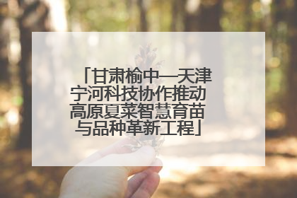 甘肃榆中—天津宁河科技协作推动高原夏菜智慧育苗与品种革新工程