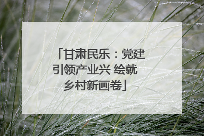 甘肃民乐：党建引领产业兴 绘就乡村新画卷