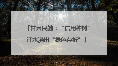 甘肃民勤：“信用种树” 汗水浇出“绿色存折”