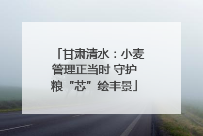 甘肃清水：小麦管理正当时 守护粮“芯”绘丰景
