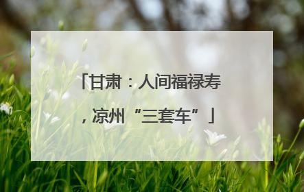 甘肃：人间福禄寿，凉州“三套车”
