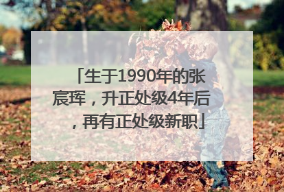 生于1990年的张宸珲，升正处级4年后，再有正处级新职
