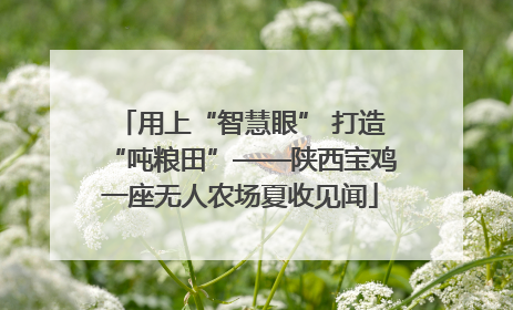 用上“智慧眼” 打造“吨粮田”——陕西宝鸡一座无人农场夏收见闻