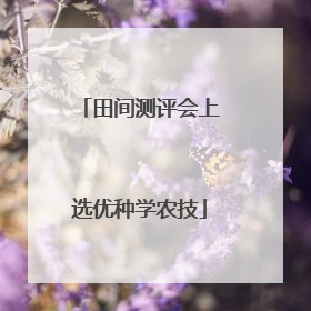 田间测评会上选优种学农技