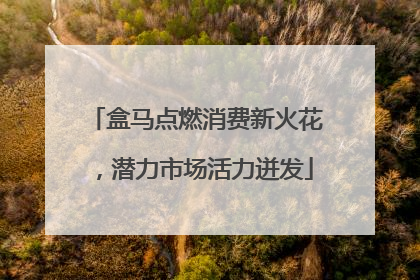 盒马点燃消费新火花，潜力市场活力迸发