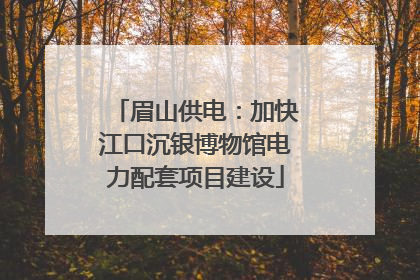 眉山供电：加快江口沉银博物馆电力配套项目建设