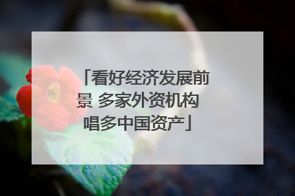 看好经济发展前景 多家外资机构唱多中国资产