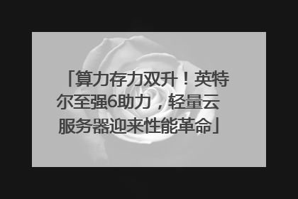算力存力双升！英特尔至强6助力，轻量云服务器迎来性能革命