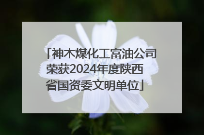 神木煤化工富油公司荣获2024年度陕西省国资委文明单位