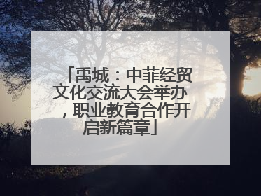 禹城：中菲经贸文化交流大会举办，职业教育合作开启新篇章