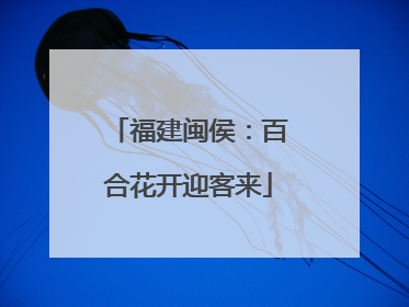 福建闽侯：百合花开迎客来