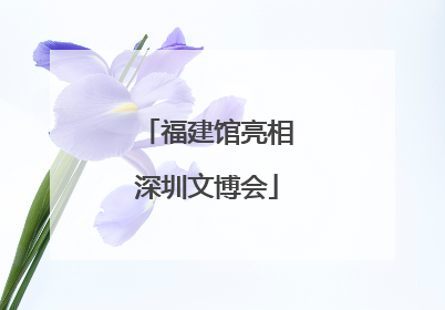 福建馆亮相深圳文博会