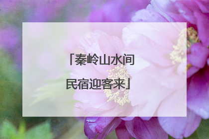秦岭山水间 民宿迎客来