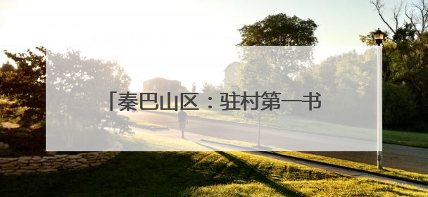 秦巴山区：驻村第一书记“组团服务”促振兴