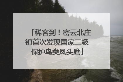稀客到！密云北庄镇首次发现国家二级保护鸟类凤头鹰
