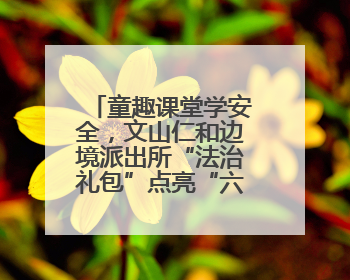 童趣课堂学安全，文山仁和边境派出所“法治礼包”点亮“六一”