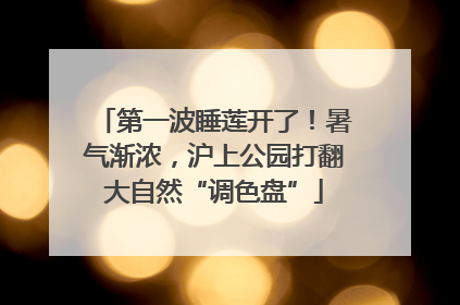 第一波睡莲开了！暑气渐浓，沪上公园打翻大自然“调色盘”