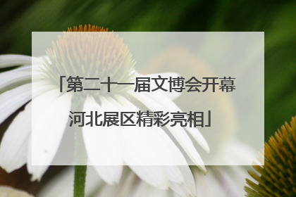 第二十一届文博会开幕 河北展区精彩亮相