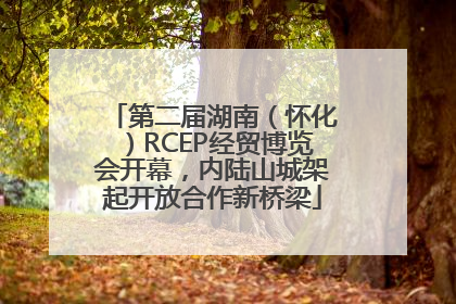 第二届湖南（怀化）RCEP经贸博览会开幕，内陆山城架起开放合作新桥梁