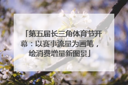 第五届长三角体育节开幕：以赛事流量为画笔，绘消费增量新图景