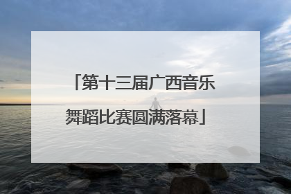 第十三届广西音乐舞蹈比赛圆满落幕