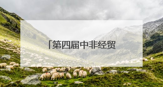 第四届中非经贸博览会丨湖南出台一揽子鼓励措施助力对非经贸发展