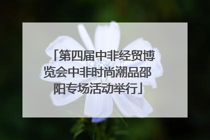 第四届中非经贸博览会中非时尚潮品邵阳专场活动举行