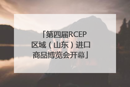 第四届RCEP区域（山东）进口商品博览会开幕