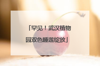 罕见！武汉植物园双色睡莲绽放