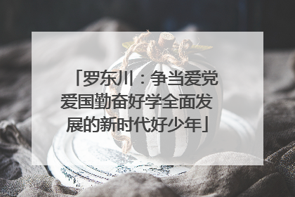 罗东川：争当爱党爱国勤奋好学全面发展的新时代好少年