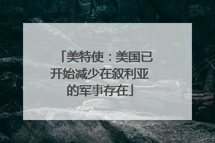 美特使：美国已开始减少在叙利亚的军事存在