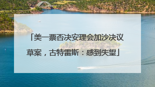 美一票否决安理会加沙决议草案，古特雷斯：感到失望