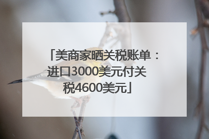 美商家晒关税账单：进口3000美元付关税4600美元