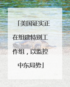 美国证实正在组建特别工作组，以监控中东局势