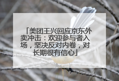美团王兴回应京东外卖冲击：欢迎参与者入场，坚决反对内卷，对长期很有信心