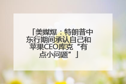 美媒爆：特朗普中东行期间承认自己和苹果CEO库克“有点小问题”